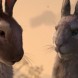 La colline aux lapins : arrive imminente sur Netflix !