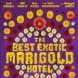 Best Exotic Marigold Hotel