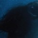 Bande Annonce